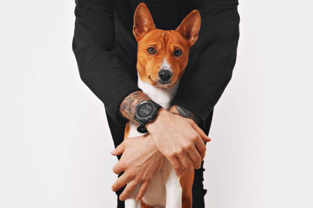 basenji z człowiekiem