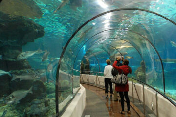 oceanarium barcelona