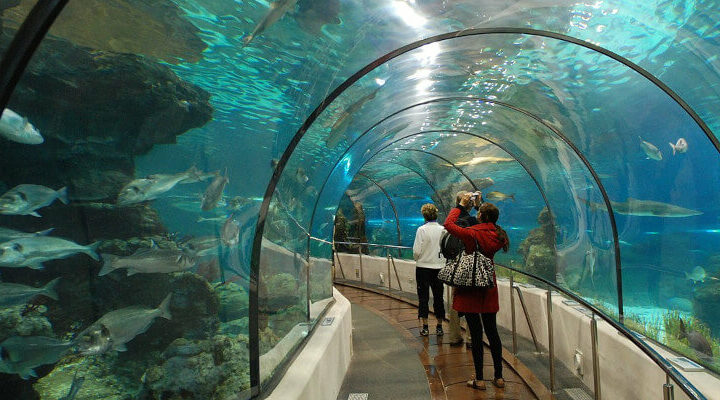 oceanarium barcelona