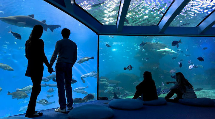 palma aquarium