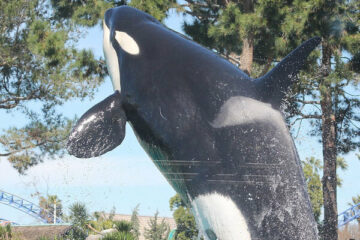 seaworld