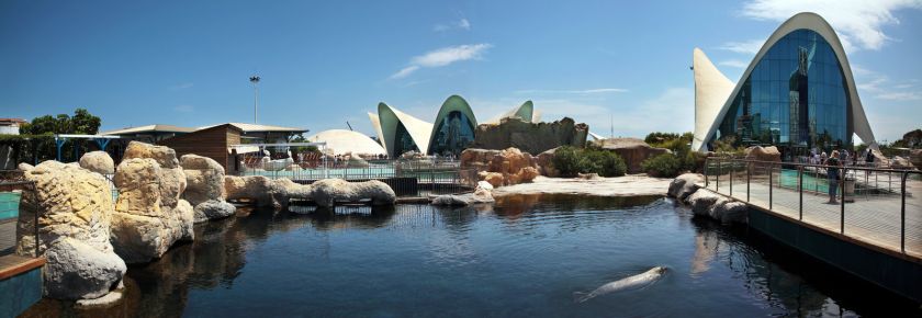 Oceanarium Walencja kompleks