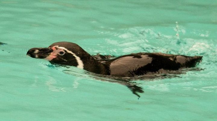 zoo kraków