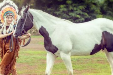 american paint horse