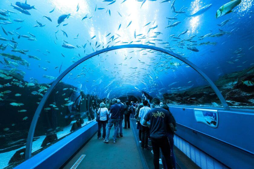 Georgia Aquarium kopuła