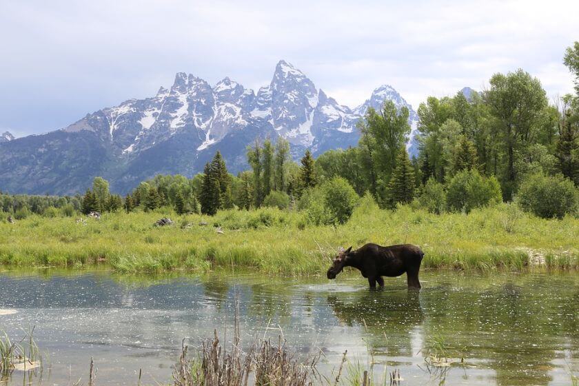 grand teton krajobraz 2