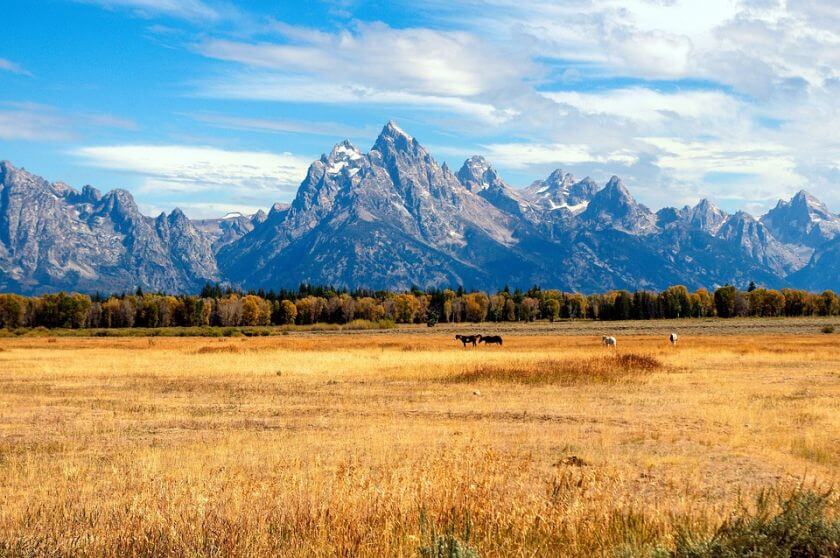 grand teton krajobraz 4