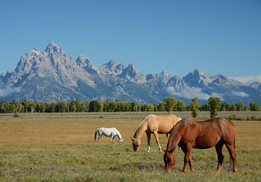 grand teton krajobraz 7