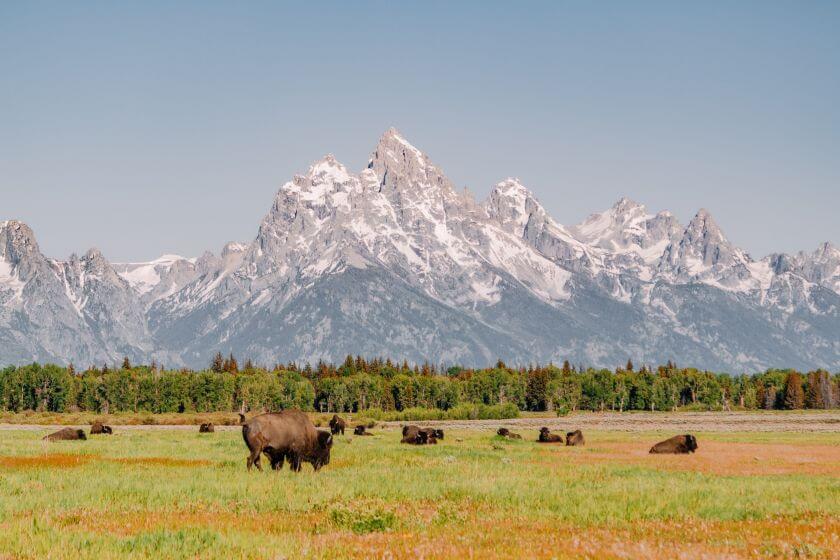 grand teton krajobraz 9