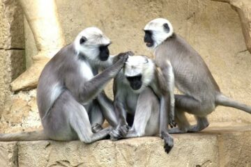 Zoo Warszawa