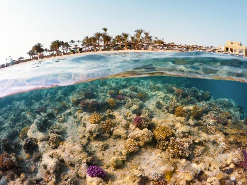 Marsa Alam nurkowanie ląd i woda