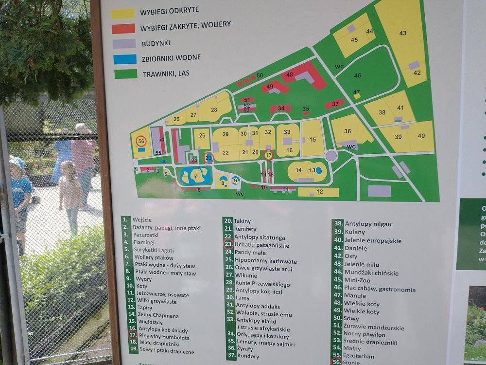 Zoo kraków mapa