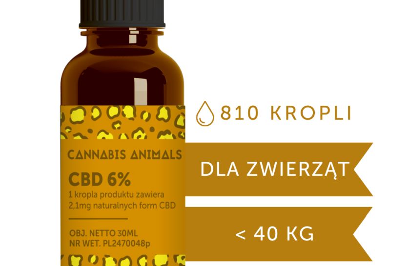 Olej-CBD-dla-psa-czy-warto-jakie-wlasciwosci-wykazuje-1