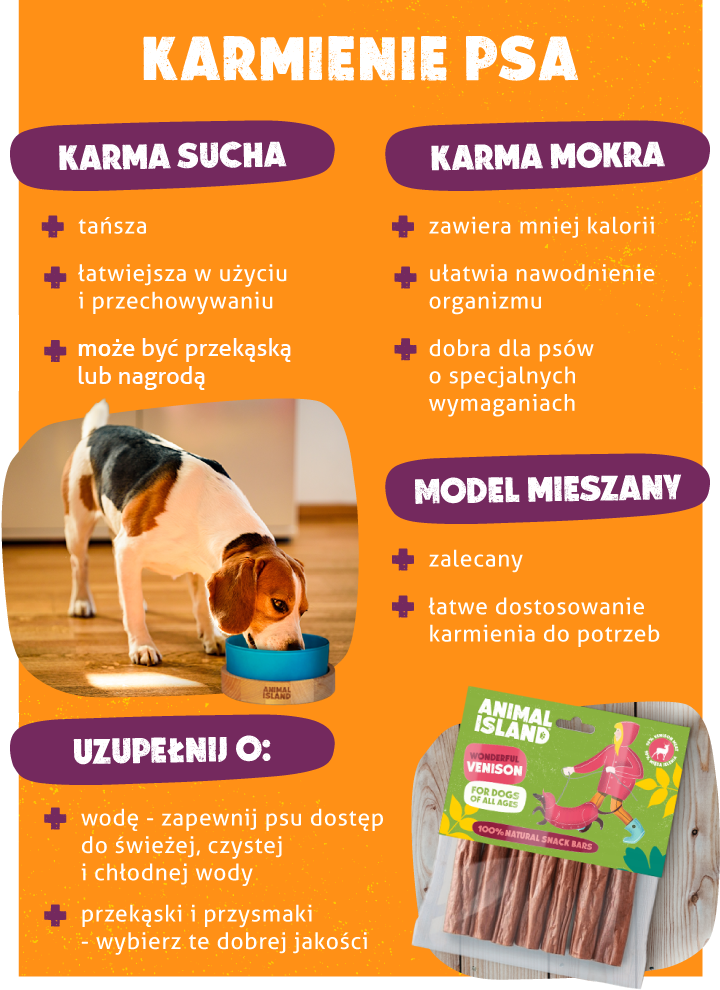 Czym karmić psa - karma sucha czy karma mokra - infografika