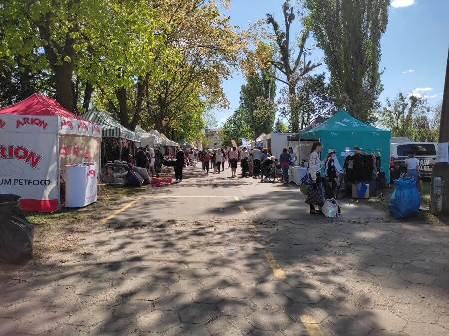 XXVIII Międzynarodowa Wystawa Psów Rasowych w Łodzi zdj. 15