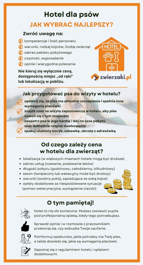 Hotel dla psa strona