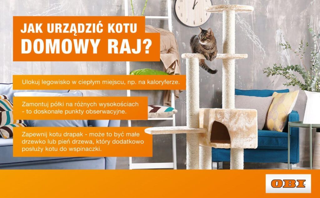 Jak urządzić kotu kącik do zabawy i wypoczynku? Infografika