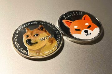 Kryptowaluta z psem? Czym jest kryptowaluta Shiba Inu