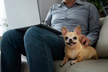 man working laptop home his dog