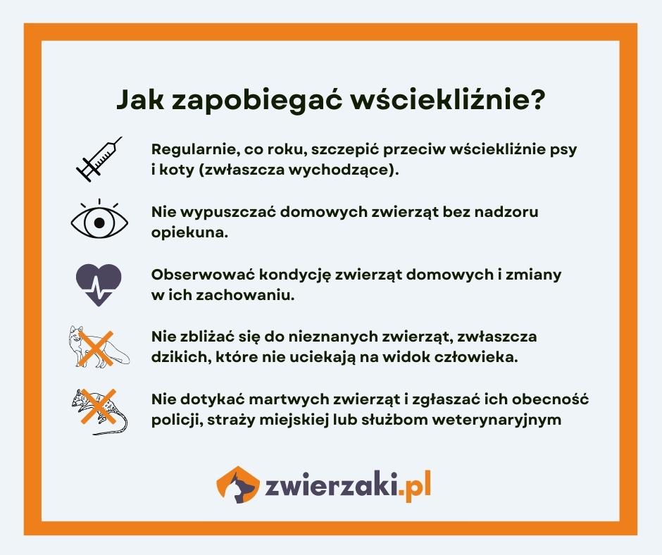 światowy dzień wścieklizny jak zapobiegać