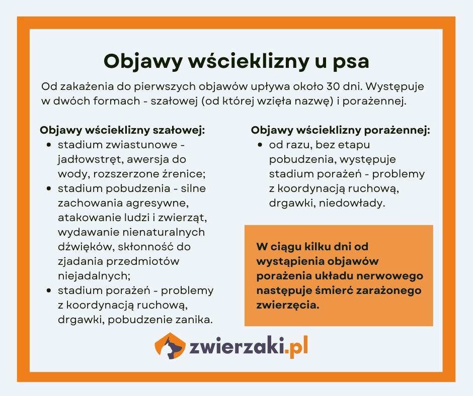 światowy dzień wścieklizny objawy