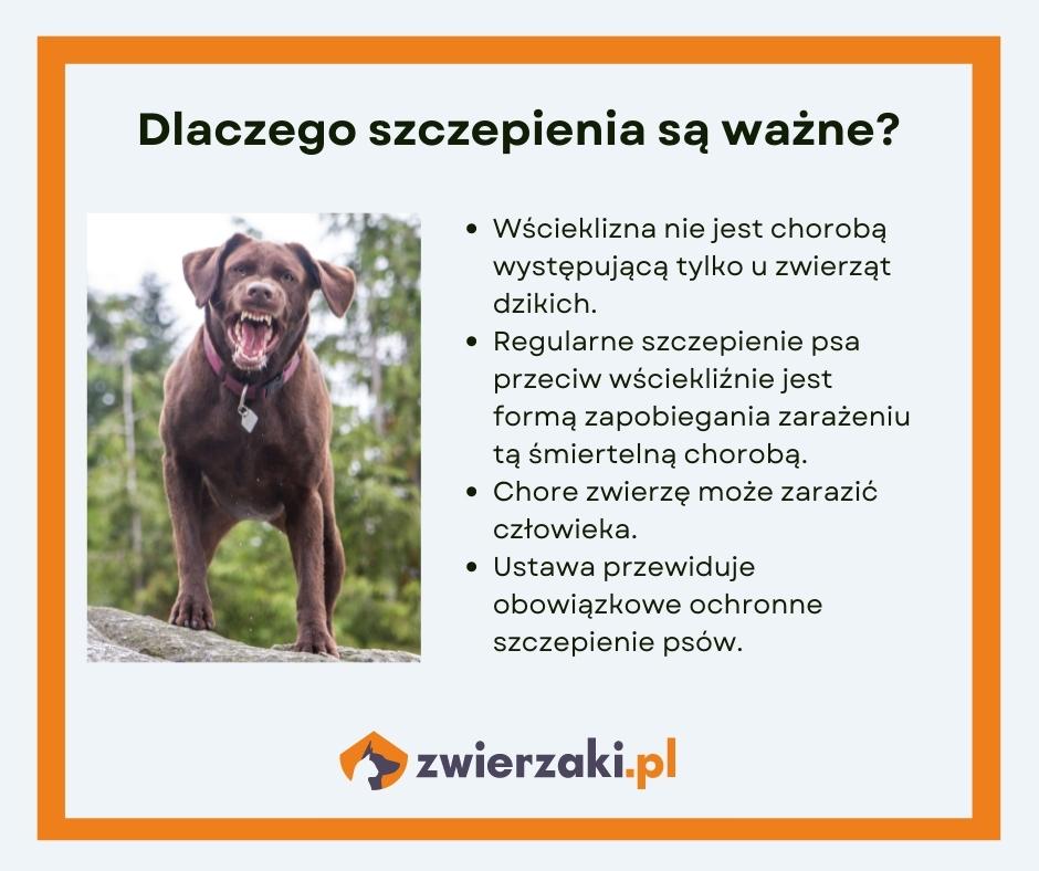 światowy dzień wścieklizny szczepienia