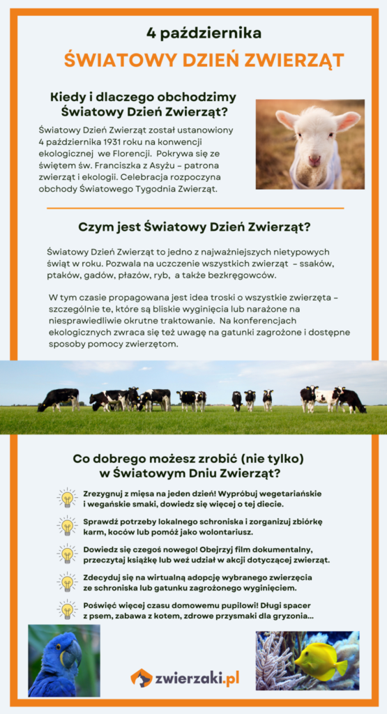 Światowy Dzień Zwierząt infografika