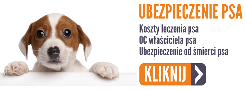 ubezpieczenie psa oferta 2