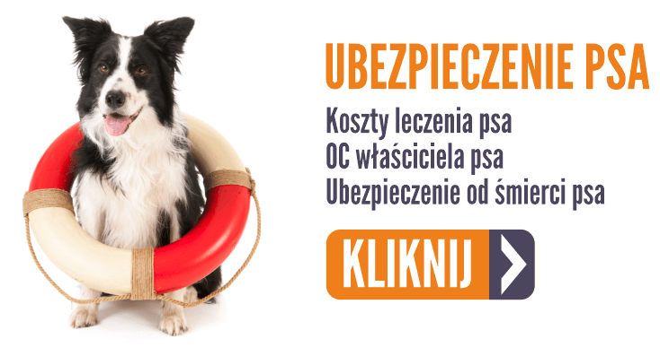 ubezpieczenie psa oferta 4