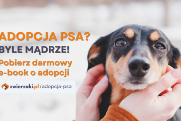 E-book „Adopcja psa”