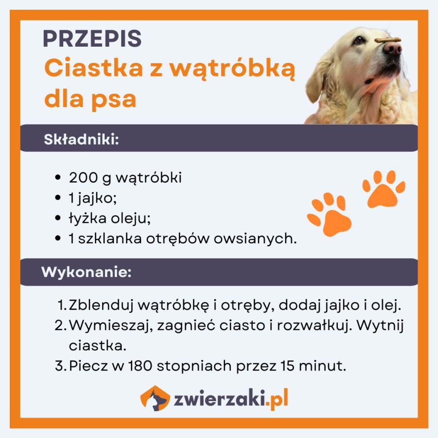 Ciasteczka dla psa z wątróbką – przepis