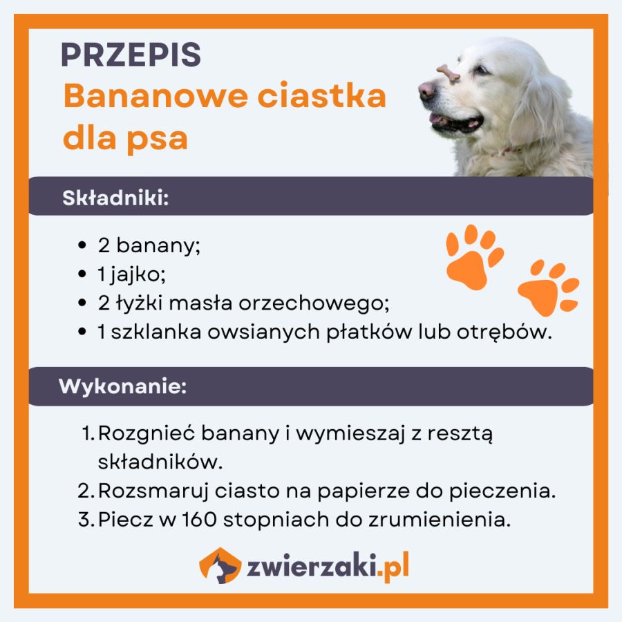 Bananowe ciasteczka dla psa – przepis