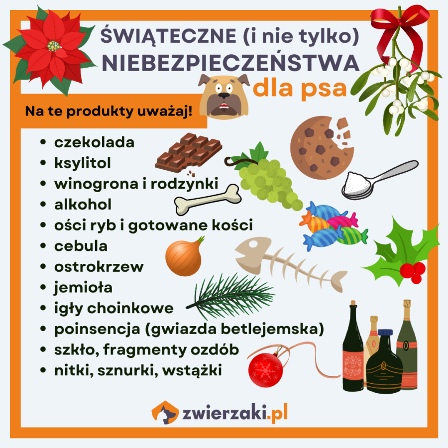 świąteczne potrawy dla psa infografika