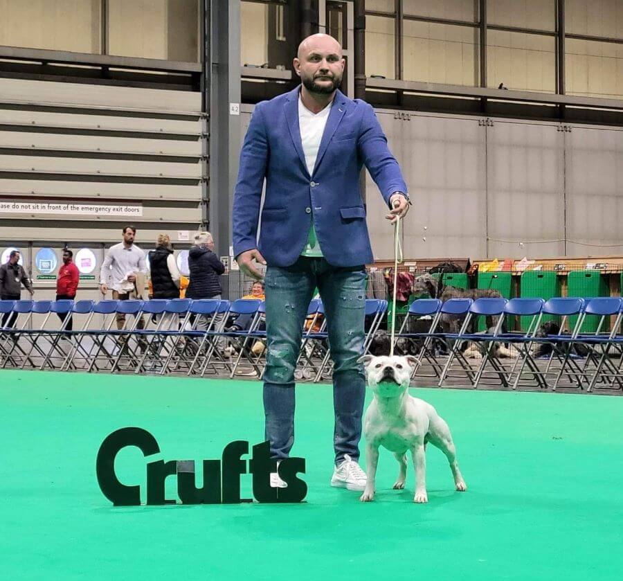 Niełatwo wystąpić na Crufts!