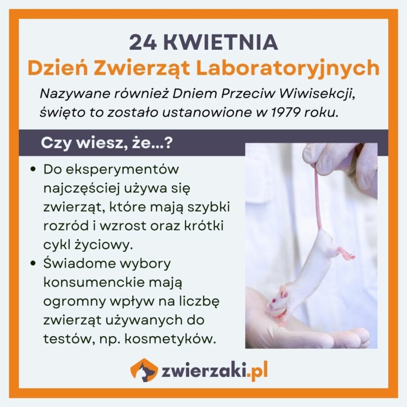 Dzień Zwierząt Laboratoryjnych infografika